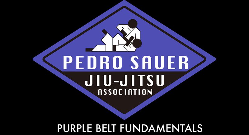 Sauer Jiu-Jitsu: Legacy Blue to Purple Curriculum